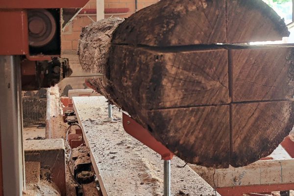 Eichenpfähle gesägt