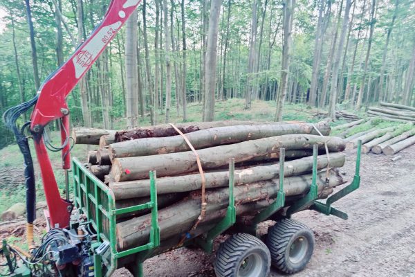 Holzanhänger mit Kran_IMG_20230907_071146