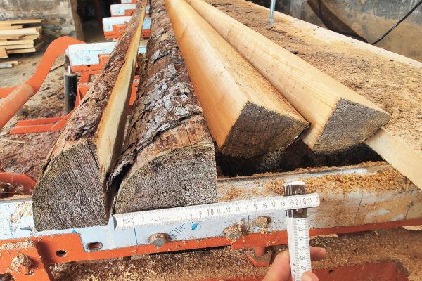 Lärchenpfahl gesägt